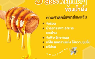 5 สรรพคุณดีๆ ของน้ำผึ้ง ตามศาสตร์แพทย์แผนจีน